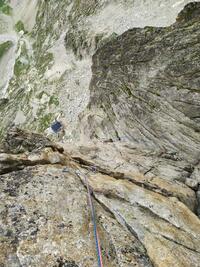 Longueur majeur sur écaille Longueur majeur sur écaille