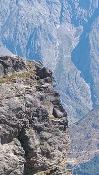 Une grosse poule Une grosse poule