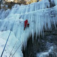 Le son est creux...? Le son est creux...?