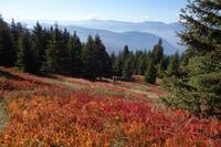 Couleurs automnales Couleurs automnales